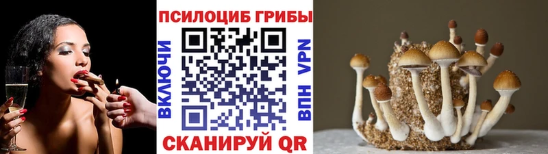 Псилоцибиновые грибы Magic Shrooms  сколько стоит  Аткарск 